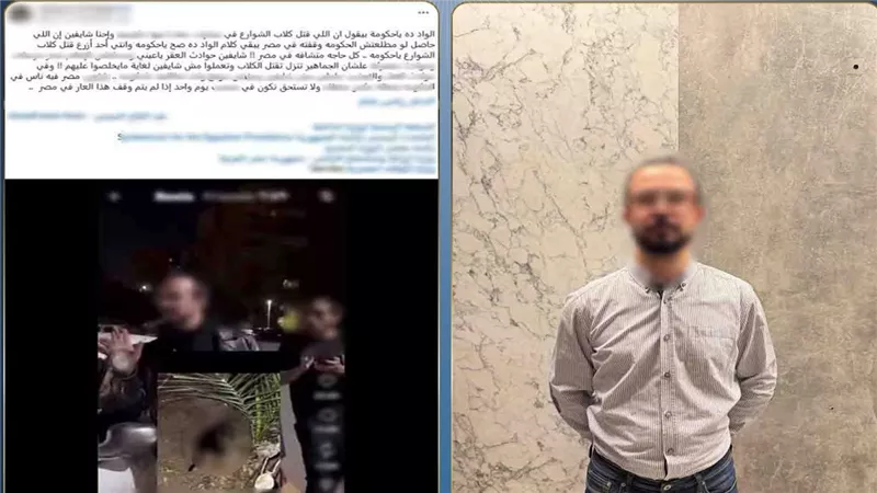 التحقيق مع مدير شركة متهم بتسميم الكلاب في مدينة نصر|تفاصيل