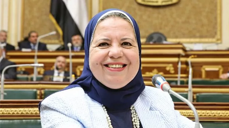  يهدد الاستقرار الوظيفي.. أمل عصفور تتبنى مطالب العمال تحت القبة