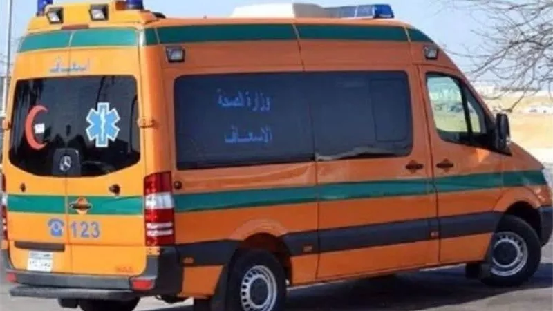 إصابة 11 عاملًا في حادث ميكروباص مروع بطريق الزقازيق – بلبيس بالشرقية