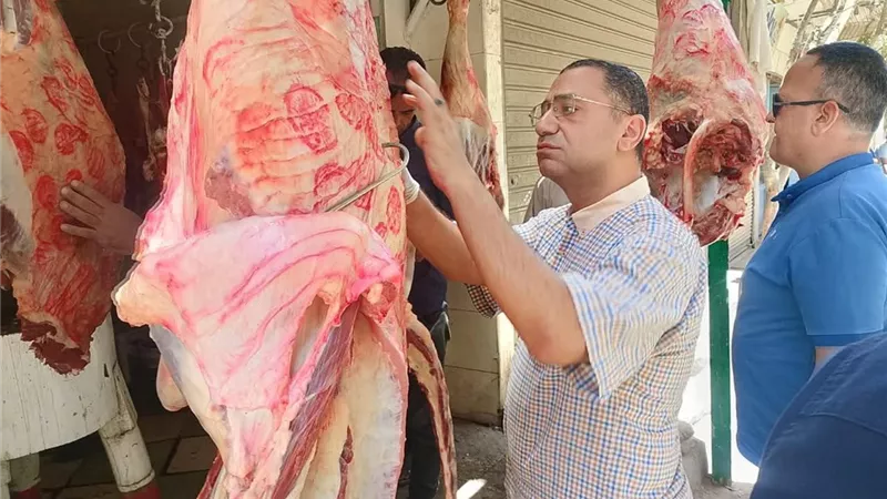 تحرير 240 مخالفة خلال حملات رقابية مكثفة على المخابز والأسواق بالمنيا