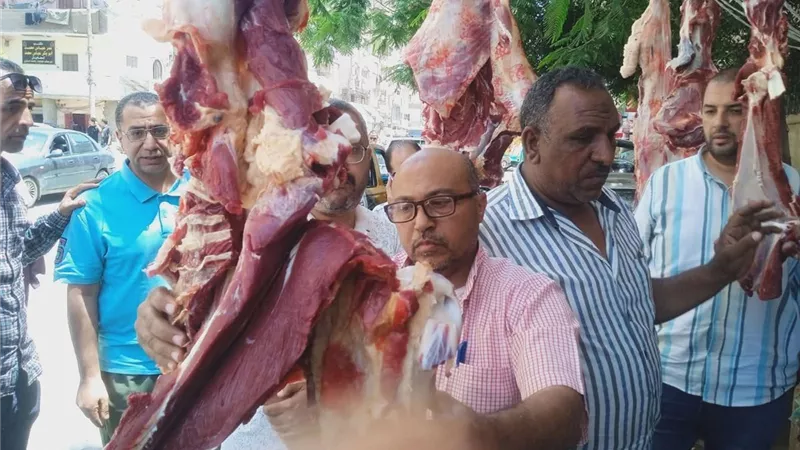 ضبط ومصادرة أكثر من نصف طن لحوم غير صالحة ومذبوحة خارج المجازر بالمنيا 