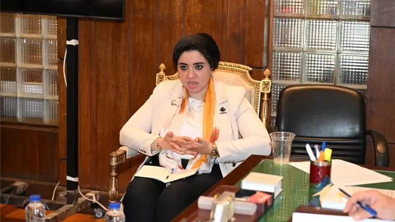 مقترح النائبة أميرة صابر أمام الشيوخ لرسم خريطة التعليم وسوق العمل بمصر