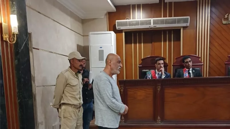 بسبب خلافات الميراث.. تأجيل محاكمة المتهم بقتل شقيقه بالشرقية لدور يوليو القادم