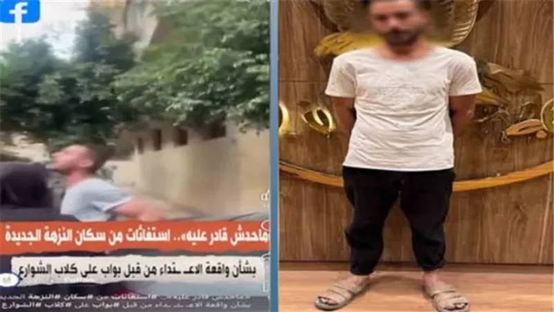 بعد تداول فيديو الواقعة.. ضبط حارس عقار متهم بالتعدي على كلاب ضالة في النزهة