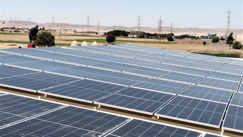 خفض تكاليف التشغيل 50%.. الطاقة النظيفة تدعم زراعة النباتات الطبية والعطرية بأسيوط