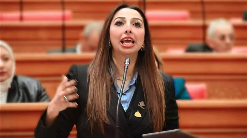 غدًا.. إدراج خدمات العلاج النفسي ضمن التأمين الصحي علي طاولة النواب