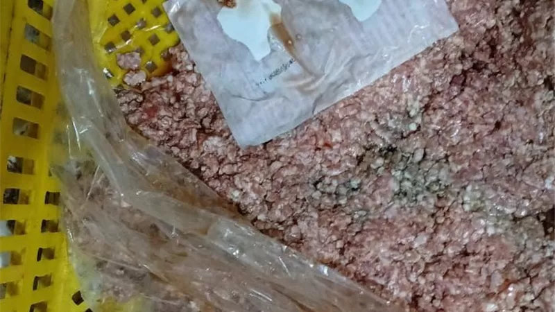 صحة الإسكندرية تضبط 13 ألف طن من الأغذية غير المطابقة للمواصفات 