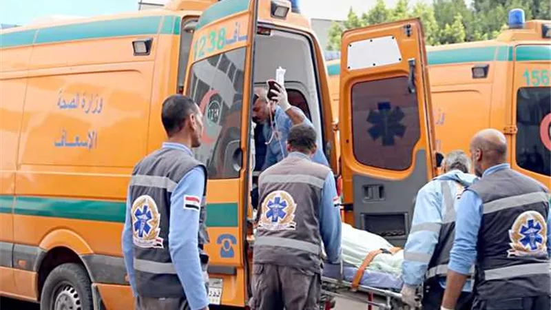 كابينة العربية وقعت عليه.. تفاصيل مصرع طفل داخل ورشة ميكانيكا في الدقهلية 