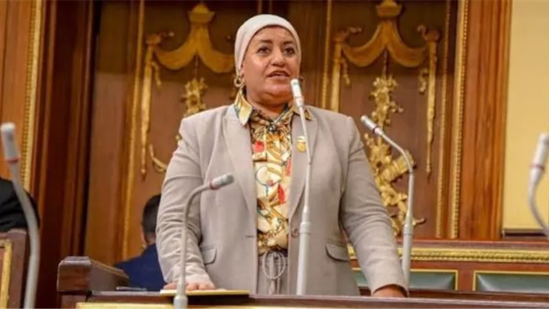 رحاب الغول للحكومة: المواطن البسيط لا يفهم الأرقام.. وتحمل وحده فاتورة الإصلاح الاقتصادي