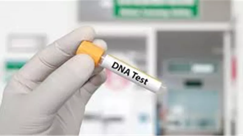 من مدة الحمل إلى تحليل الـDNA.. تفاصيل مشروع قانون الأسرة لحزب النور