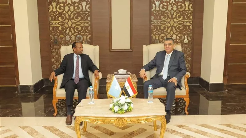 على هامش مؤتمر ومعرض الصحة الإفريقي.. الدكتور هشام ستيت يستقبل وزير صحة الصومال