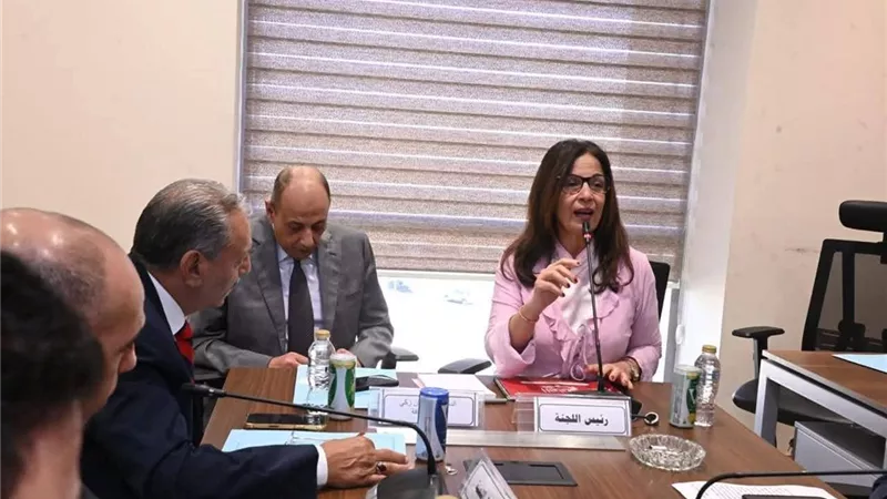 وزير الثقافة أمام النواب: الأمن الثقافي وحماية الهوية خط الدفاع الأول عن أمن مصر القومي