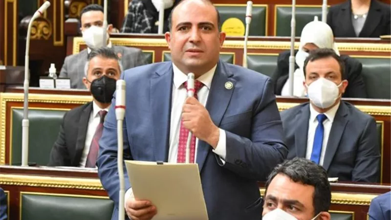 تحرك برلماني لمواجهة جرائم النصب الإلكتروني وسرقة البيانات البنكية