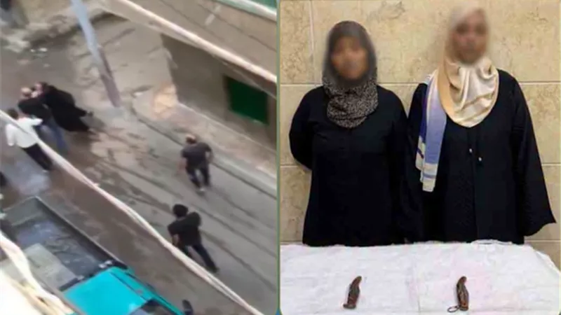 بمطاوي قرن غزال.. القبض على سيدتين استعرضتا بأسلحة بيضاء في مشاجرة بدمنهور