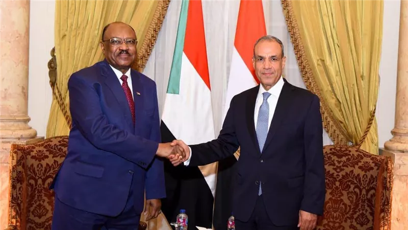 وزير الخارجية ونظيره السوداني يبحثان سبل تعزيز العلاقات الثنائية بين البلدين