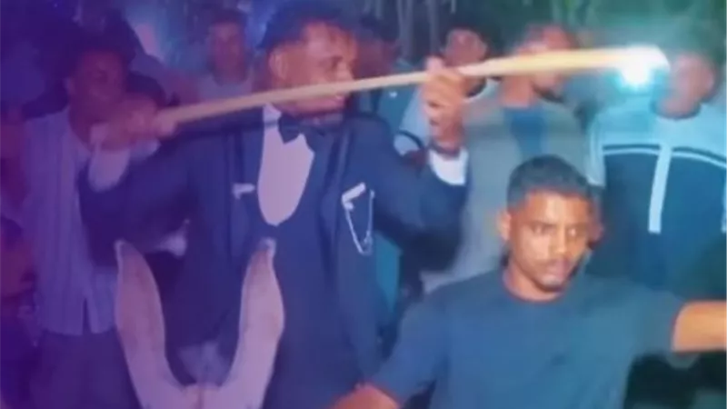 بين السخرية والإعجاب.. عريس يحتفل بزفافه على ظهر حمار ويخطف الأنظار
