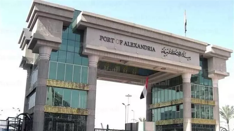 غير مطابقة للمواصفات.. جمارك صادر الإسكندرية تضبط شحنة ملابس مخالفة 