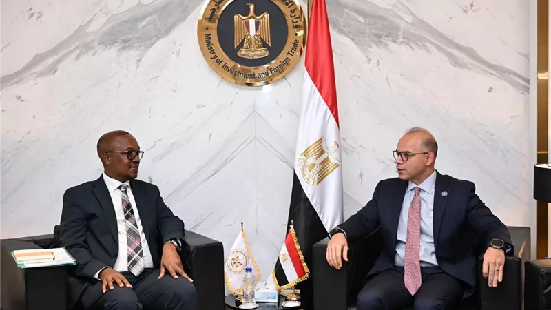 مصر وجنوب إفريقيا تبحثان تعزيز التعاون الاقتصادي والتصنيع المشترك داخل القارة