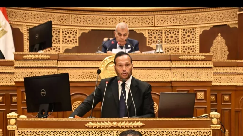 كيف تحرك مجلس الشيوخ لدعم الصناعة الوطنية وزيادة الصادرات؟