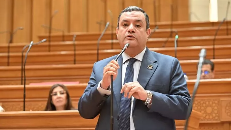 نائب بالتنسيقية يدعو لإنشاء لجنة مستقرة لحسم المنازعات الضريبية للشركات الكبرى