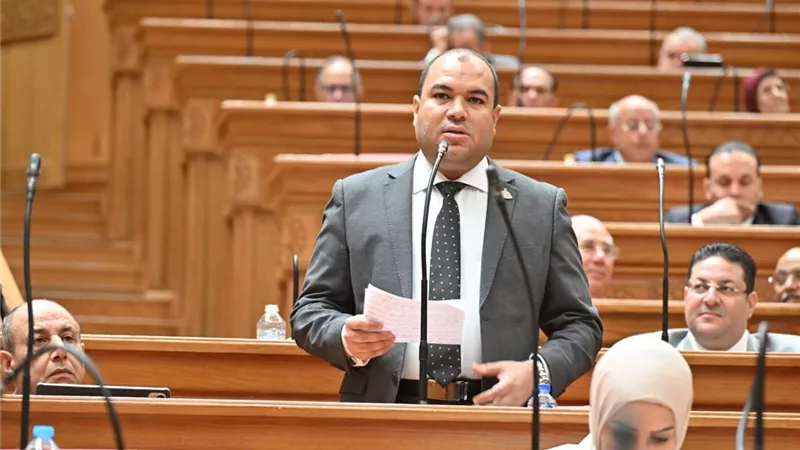 «أين ذهبت الـ90 مليار جنيه؟».. برلماني يطالب رئيس الوزراء بكشف حقيقة أزمة نواقص الدواء