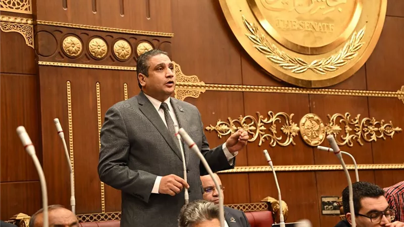 نائب بالشيوخ: تحديات الصناعة مستمرة رغم نقل ولاية الأراضي لوزارة الصناعة