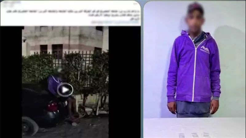 بعد تداول الفيديو.. ضبط عاطل بحوزته مخدر البودر في الجيزة