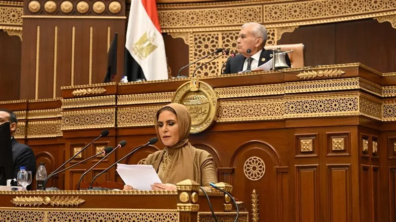 مجلس الشيوخ يحيل دراسة الأثر التشريعي لقانون الشركات إلى رئيس الجمهورية