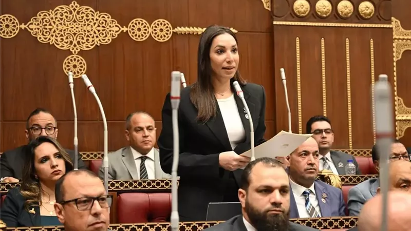 حنان وجدي: مجلس الشيوخ عزز الحوار الوطني وأرسى تقاليد برلمانية راسخة ومتطورة