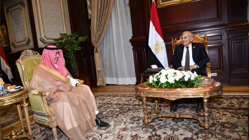 مباحثات مصرية سعودية في مجلس الشيوخ لتعزيز الشراكة والتنسيق المشترك
