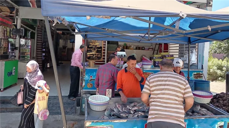 محافظة الدقهلية تواصل دعم المعارض الدائمة للسلع الغذائية بالمنصورة