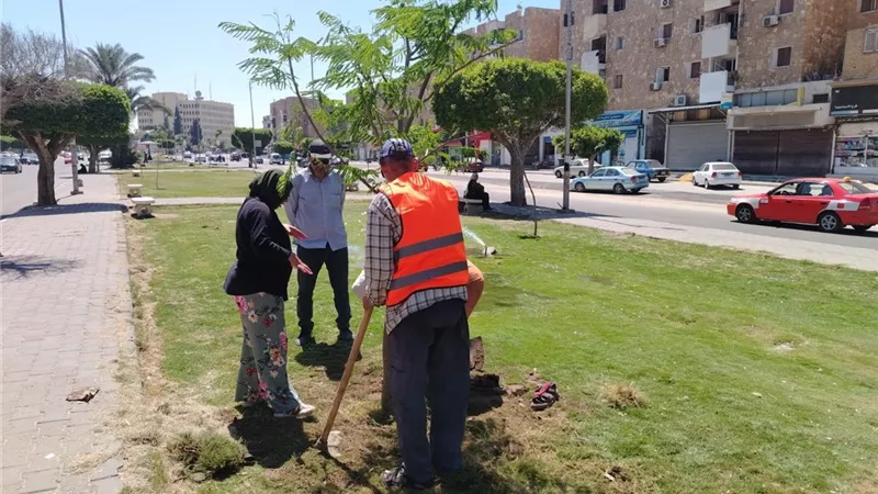 الإسماعيلية تطلق نداءً للحفاظ على المساحات الخضراء والمظهر الحضاري