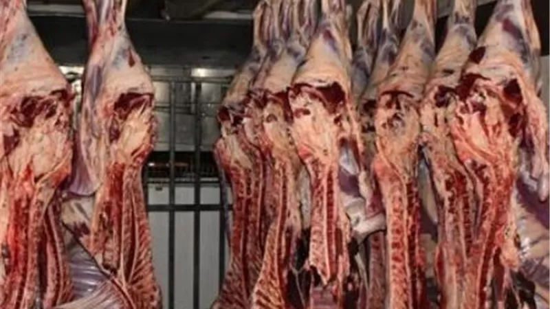 الطب البيطري: حملات يومية على المجازر والأسواق لضبط اللحوم غير الآمنة