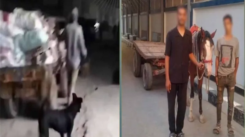 القبض على عاطلين شوهّا شوارع المرج بإلقاء المخلفات.. والتحفظ على عربة الكارو