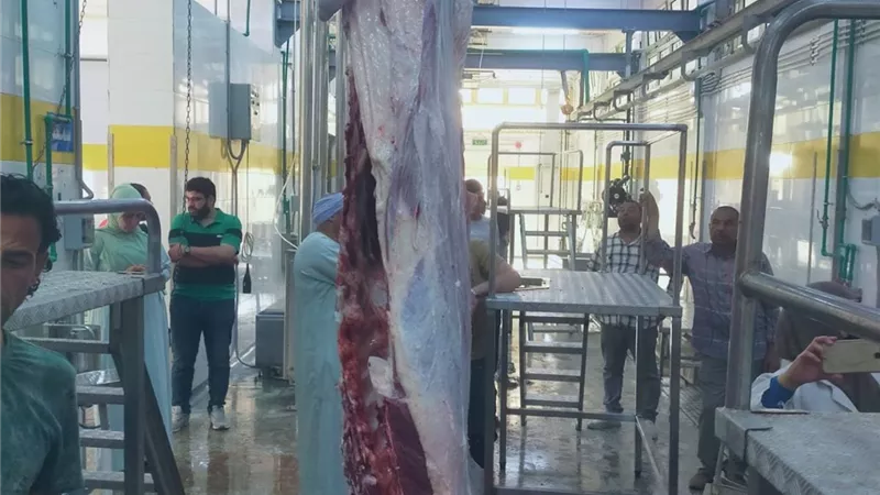 تشغيل تجريبي لمجزر قلمشاة بالفيوم بعد تطويره باستثمارات 27 مليون جنيه