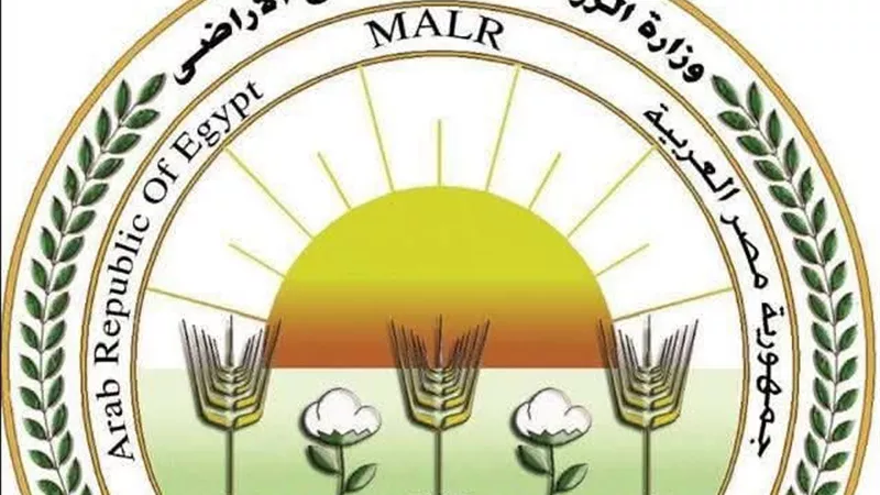 الزراعة: عمليات الحصر الفعلي لزراعات القطن للموسم الجديد 2026/2027 لا تزال جارية