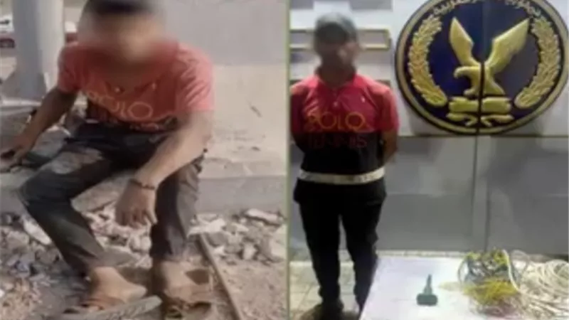 بـ«أزميل حديدي».. ضبط عاطل سرق أسلاك الكهرباء من أعلى كوبري بالإسكندرية