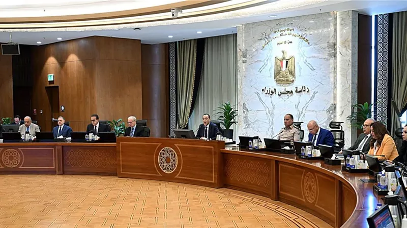 أبرزها العفو عن بعض المحكوم عليهم.. تعرف على قرارات الحكومة اليوم 