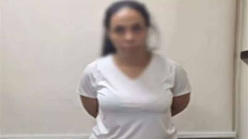 ضبط المتهمة وإعادة المسروقات.. كشف غموض سرقة شقة رجل أعمال كانت مملوكة لحبيب العادلي بالمهندسين