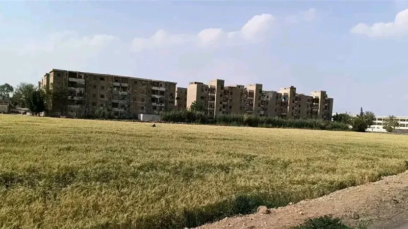 رسميًا.. الموافقة على إنشاء مستشفى أبوحماد العام الجديد بالشرقية على مساحة 5 أفدنة