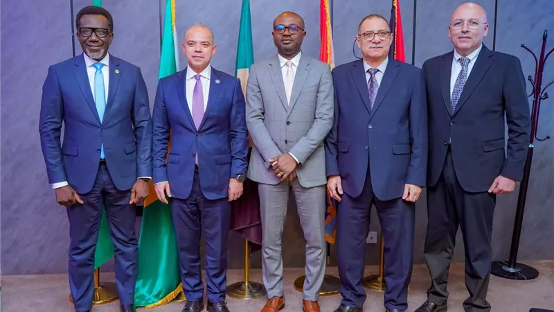 مصر ونيجيريا تبحثان شراكات جديدة في التحول الرقمي والتأمين والرعاية الصحية
