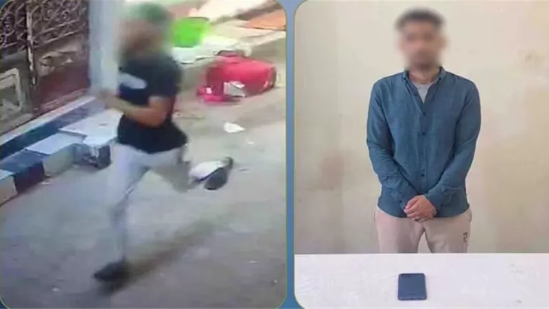 سقوط لص الهاتف.. ضبط متهم بخطف هاتف فتاة في البحيرة