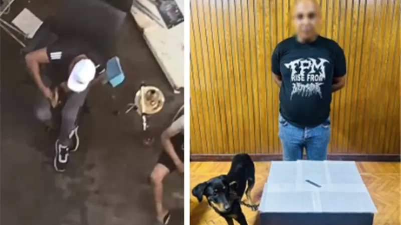 الداخلية تكشف ملابسات فيديو التعدي على كلب بالإسكندرية.. وتضبط المتهم