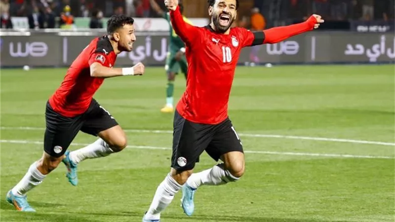 هل يشاهد السجناء مباريات مصر في كأس العالم؟.. محامي يكشف التفاصيل