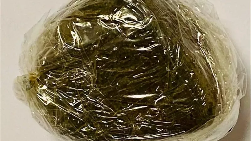 جمارك مطار الغردقة الدولي تحبط تهريب كمية من الحشيش بحوزة راكب دنماركي