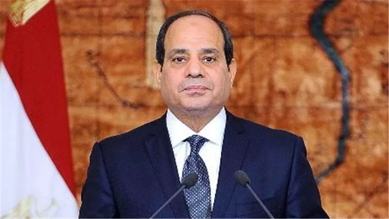 الرئيس السيسي يصدق على تحديد نسبة العلاوة الدورية للمخاطبين بالخدمة المدنية