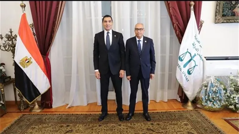 رئيس مجلس الدولة يستقبل وزير الشباب والرياضة لتهنئته بتوليه رئاسة المجلس