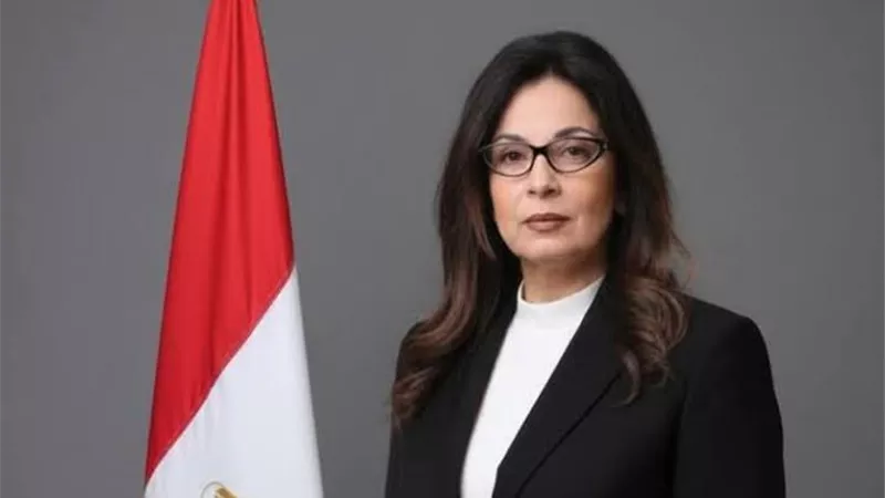 دفاع وزيرة الثقافة: سنلجأ إلى التماس إعادة النظر في حكم النقض بقضية الملكية الفكرية