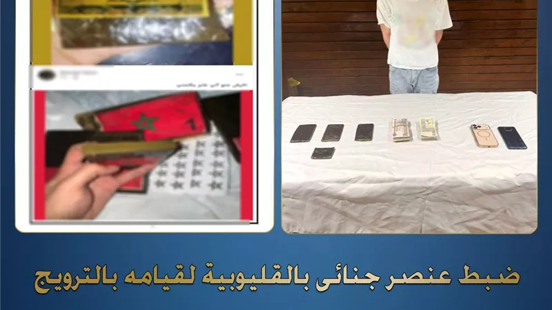 سقط في قبضة الأمن.. ضبط عاطل روّج لبيع المخدرات عبر مواقع التواصل بالقليوبية