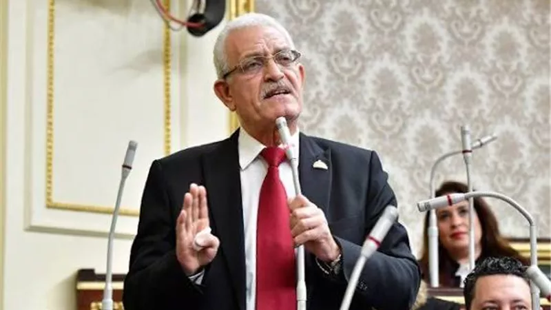 برلماني يطالب بدعم حسام حسن: المنتخب يخوض معركة داخل الملعب وخارجه